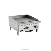 Plancha freidora a gas de 2 quemadores